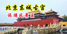 大鸡吧操小穴动态图中国北京-东城古宫旅游风景区